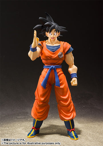 SON GOKU -A SAIYAN RAISED ON EARTH-