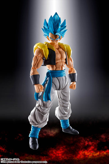 SUPER SAIYAN GOD SUPER SAIYAN GOGETA
