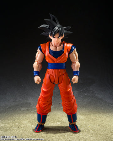 SON GOKU <THE KIND-HEARTED SAIYAN>